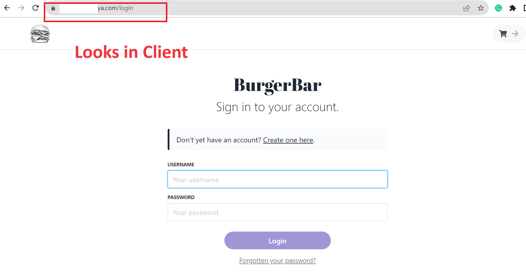 Client interface login