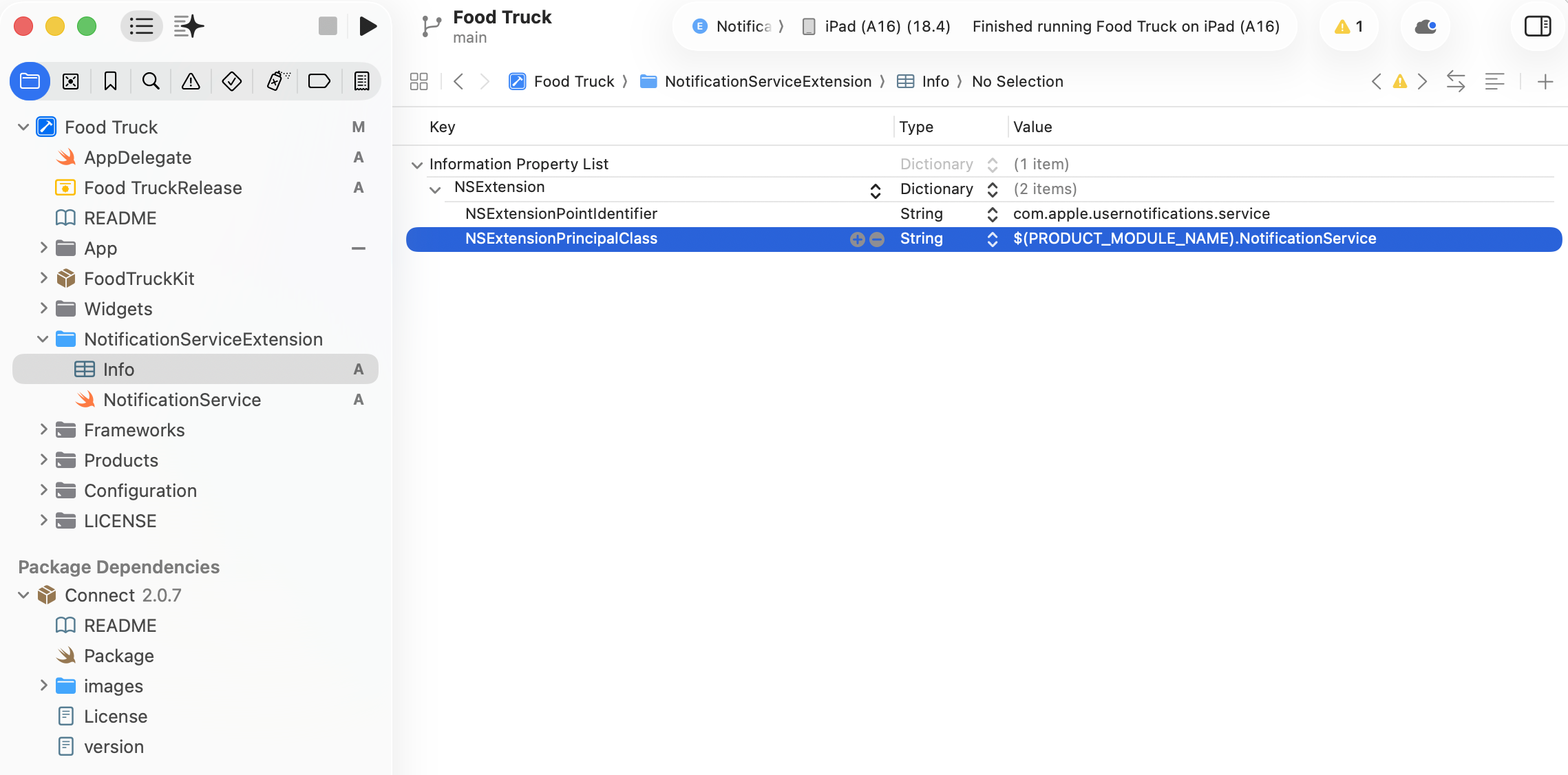 Info.plist for the NSE target