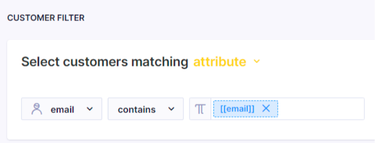 Blue input field confirming a dynamic parameter has been accepted