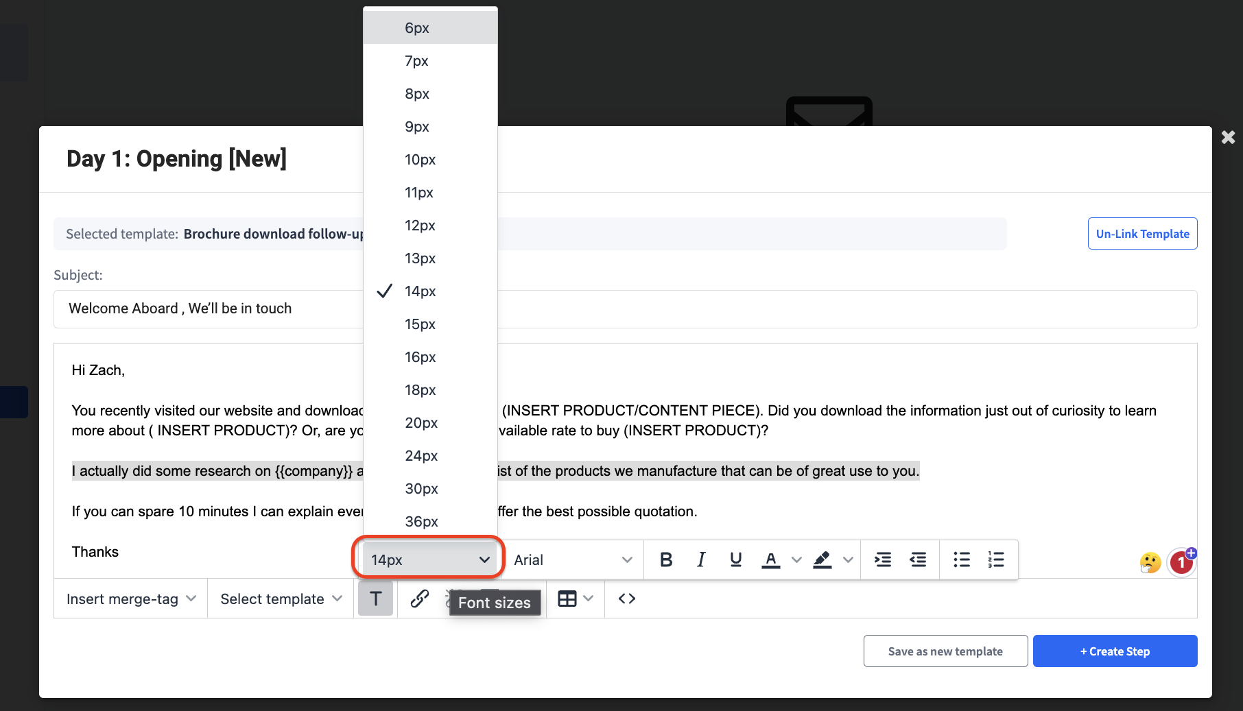 Email formatting options - how to change font style and size in SmartReach
