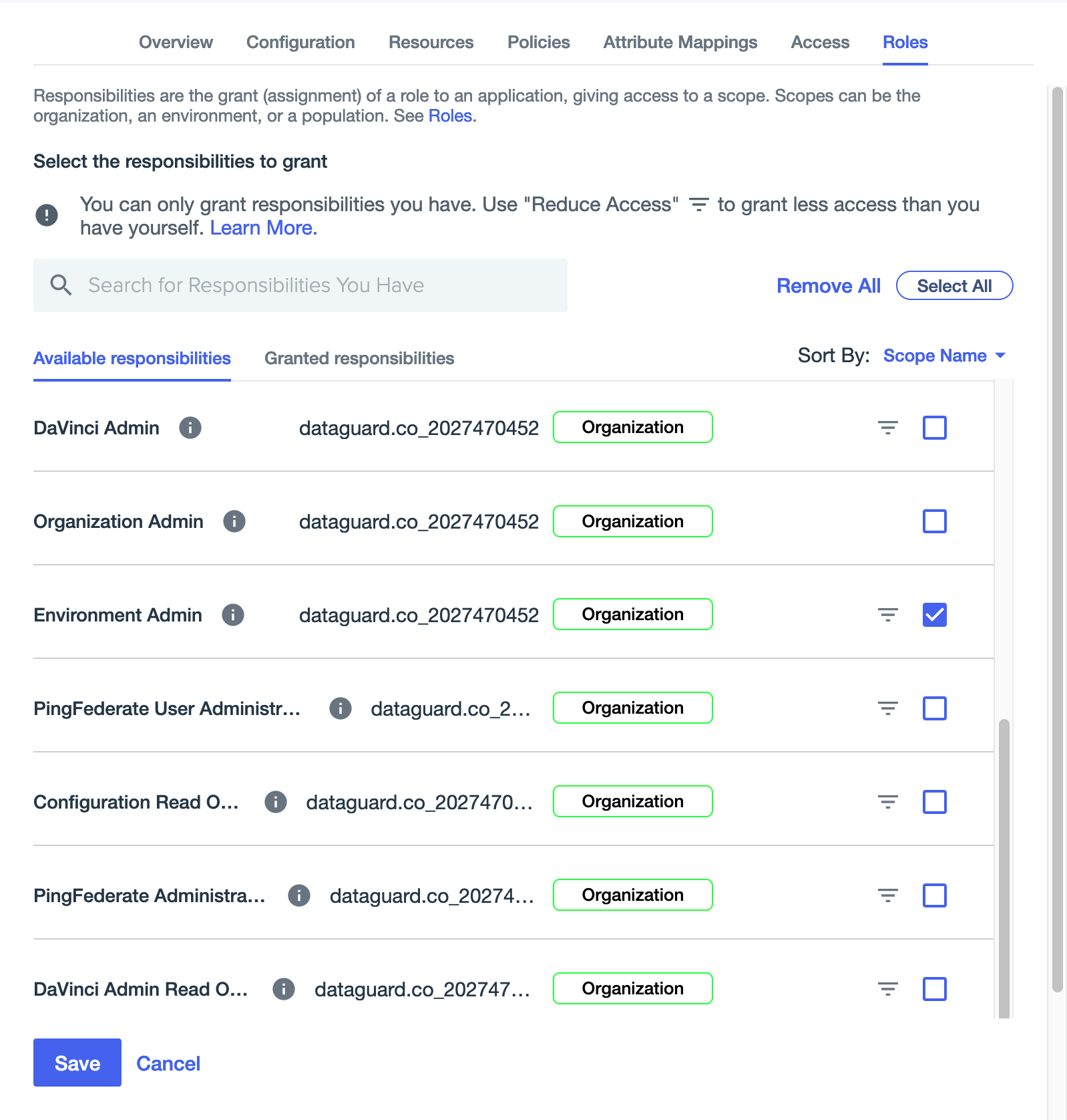 Application Roles tab