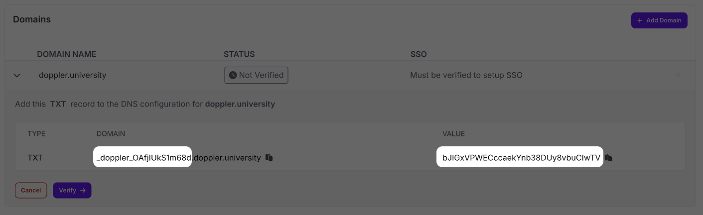 Screenshot of domain verification page showing an added domain name and value for dns record