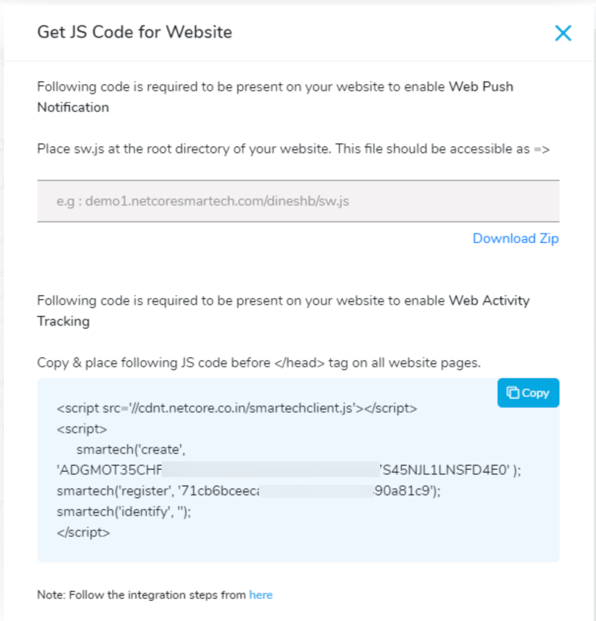 Copy & Paste the JS Code on a New tag