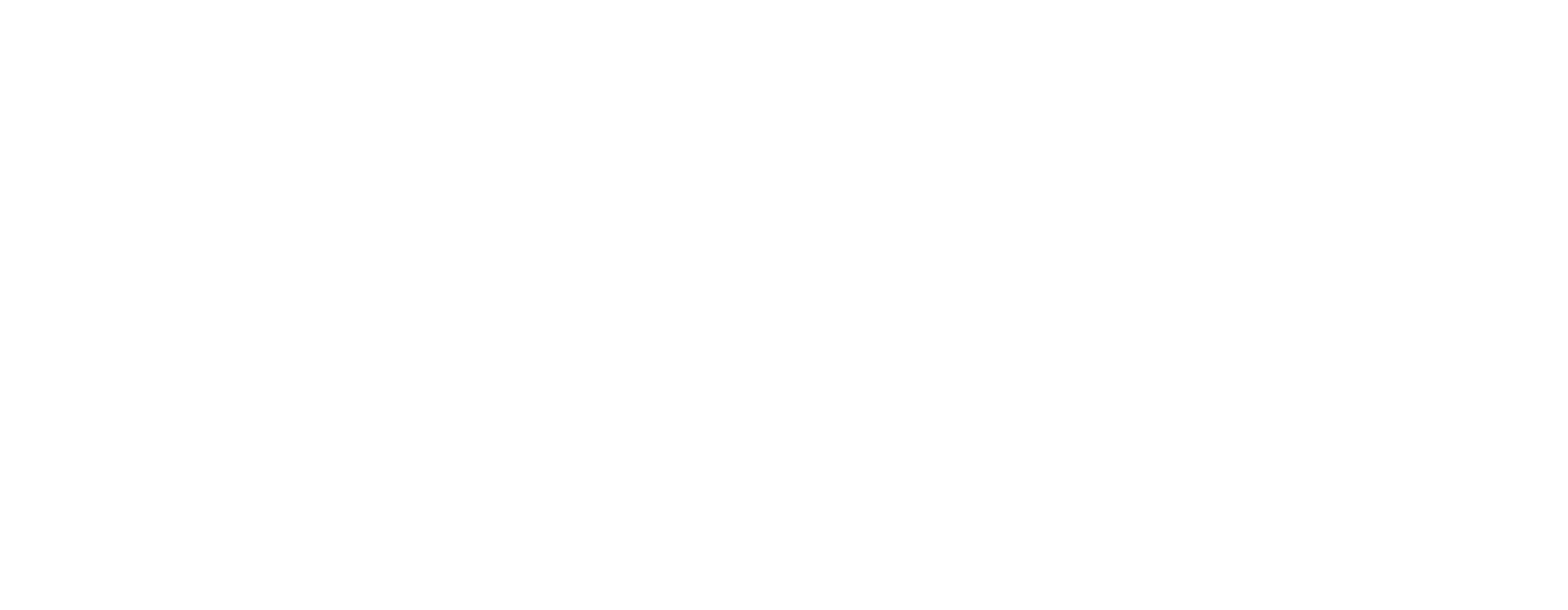 NET2GRID Local API