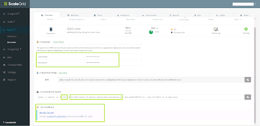 razorsql review