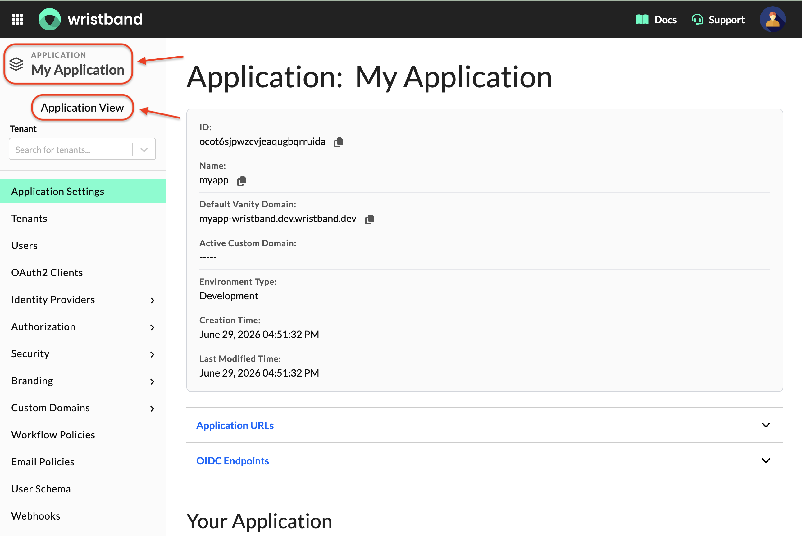 application-view