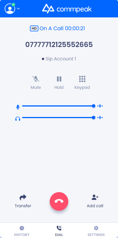 Screenshot of the echo test in progress