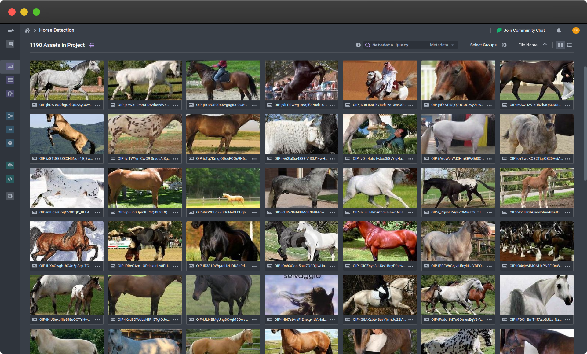 Example dataset of horses (click image to expand)