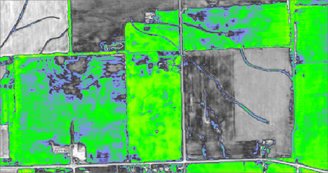 A cornfield during harvest season, Illinois. 

Provided by NAIP, NDVI preset, 2013.