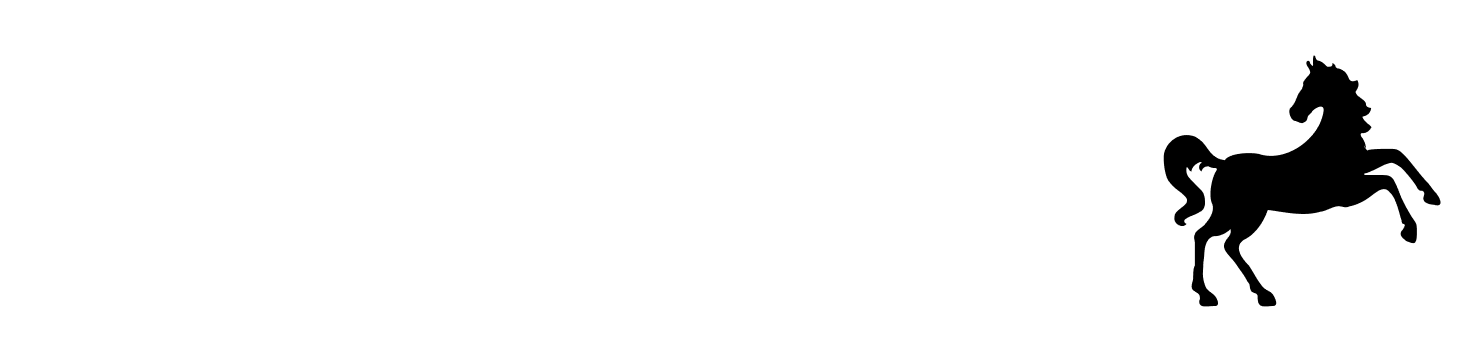 Merchant Resources Hub | Black Horse FlexPay