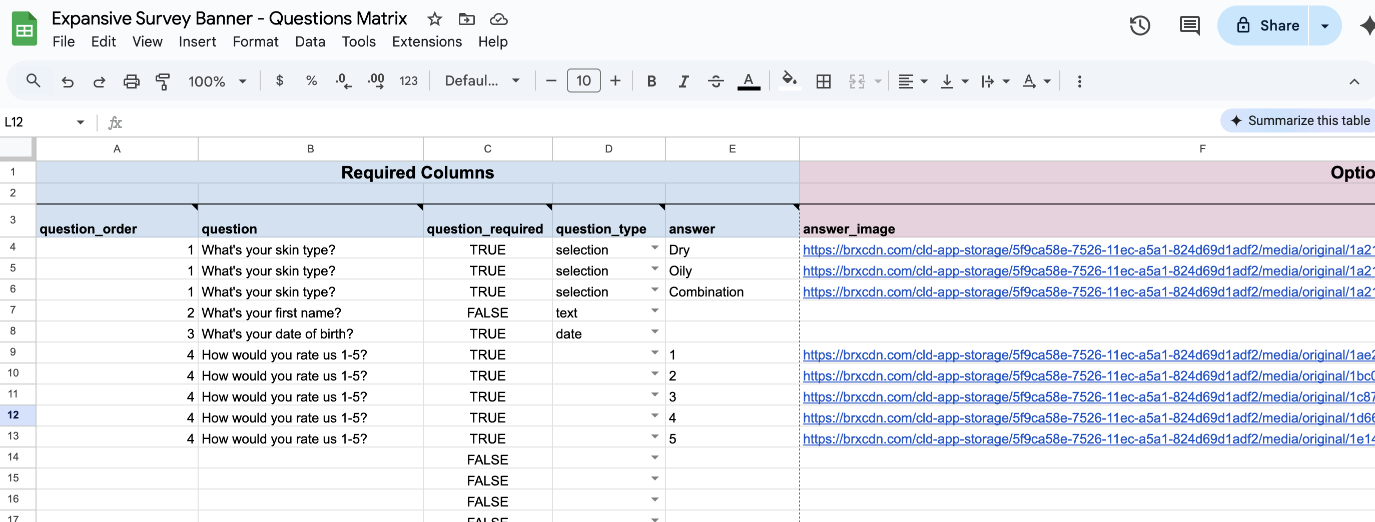 Excel spreadsheet template showing question matrix with columns for order, question type, required status, and conditional logic parameters