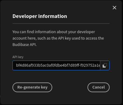 API key menu