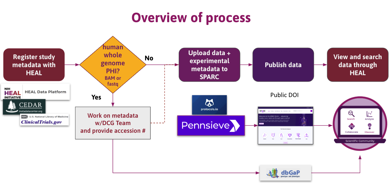 RE-JOIN Investigators data sharing process