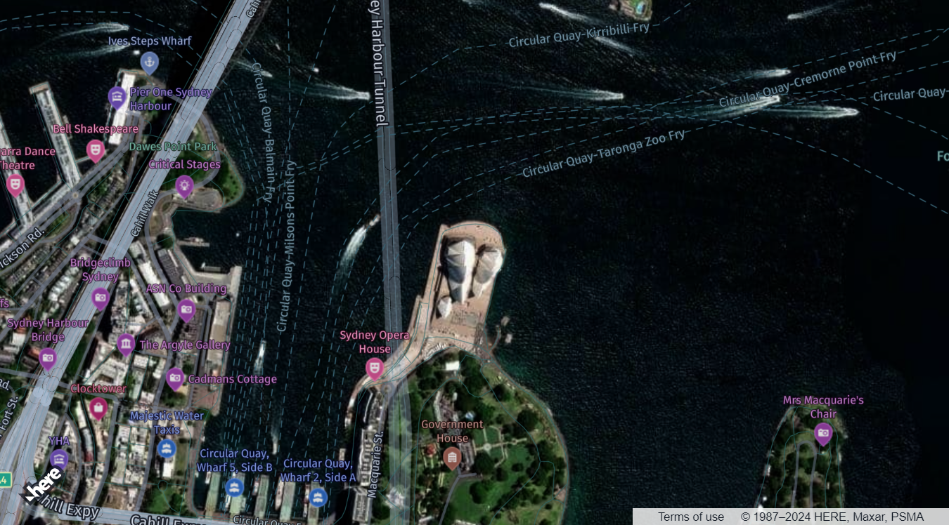 The raster map type in the Maps API for JavaScript