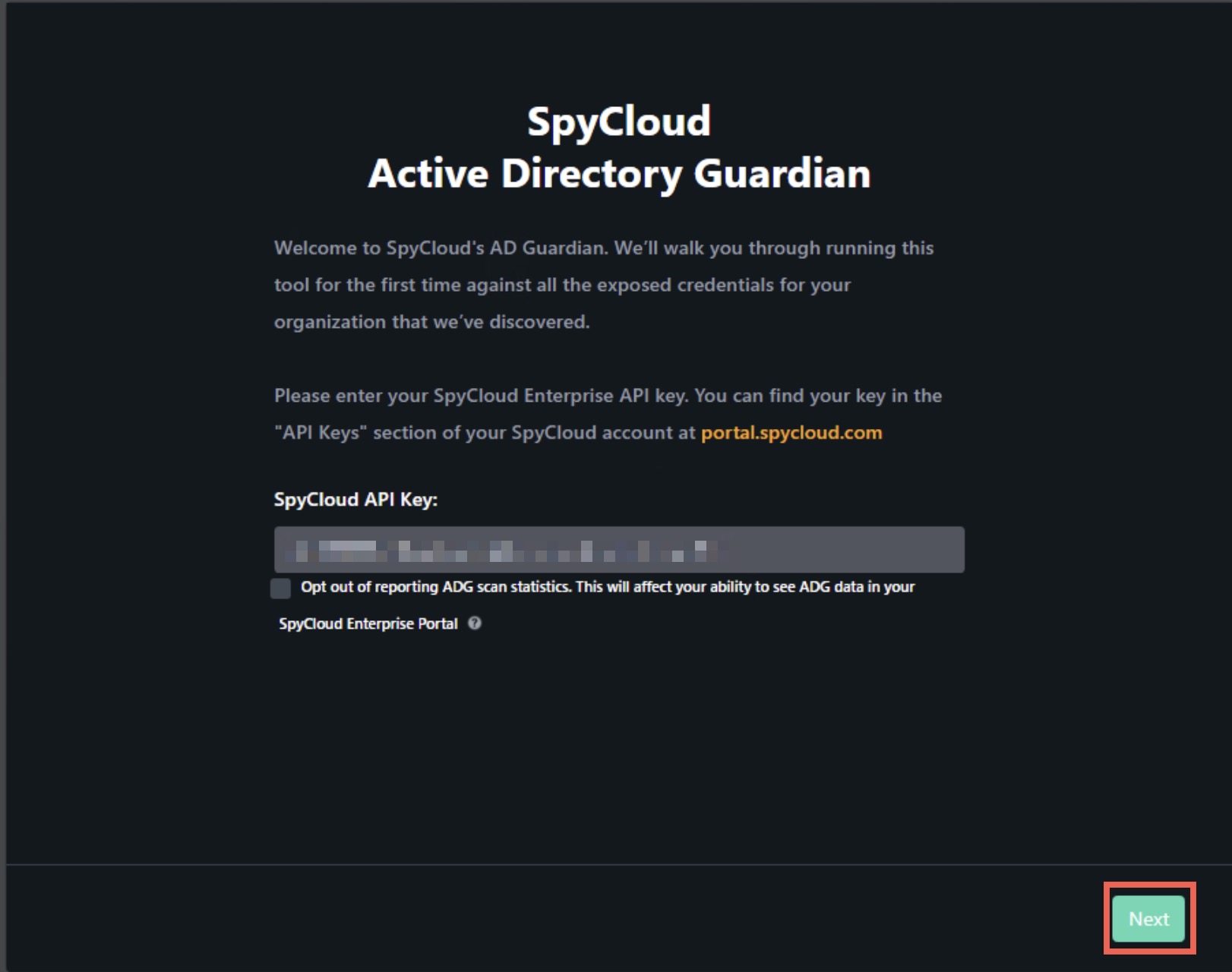 Enter API Key Screen