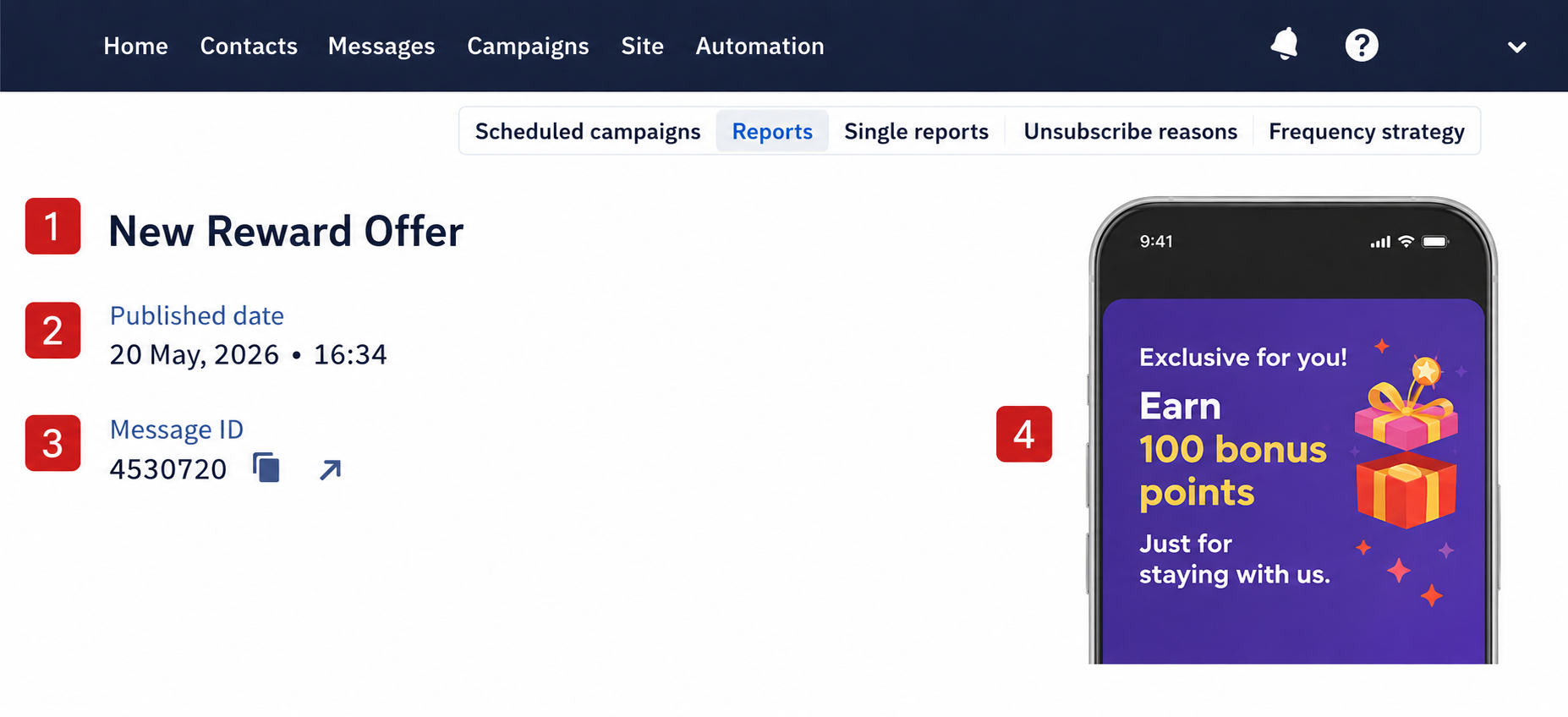 General information section of the In-App campaign report