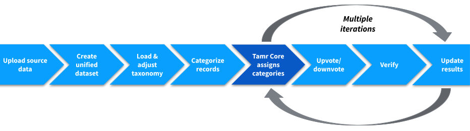 Categorization project workflow. The process of data mastering. Step 5 is a darker shade of blue to indicate that Tamr Core completes this step.