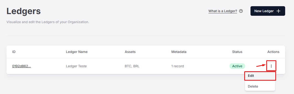 Figure 1. Option to open the details of the Ledger.