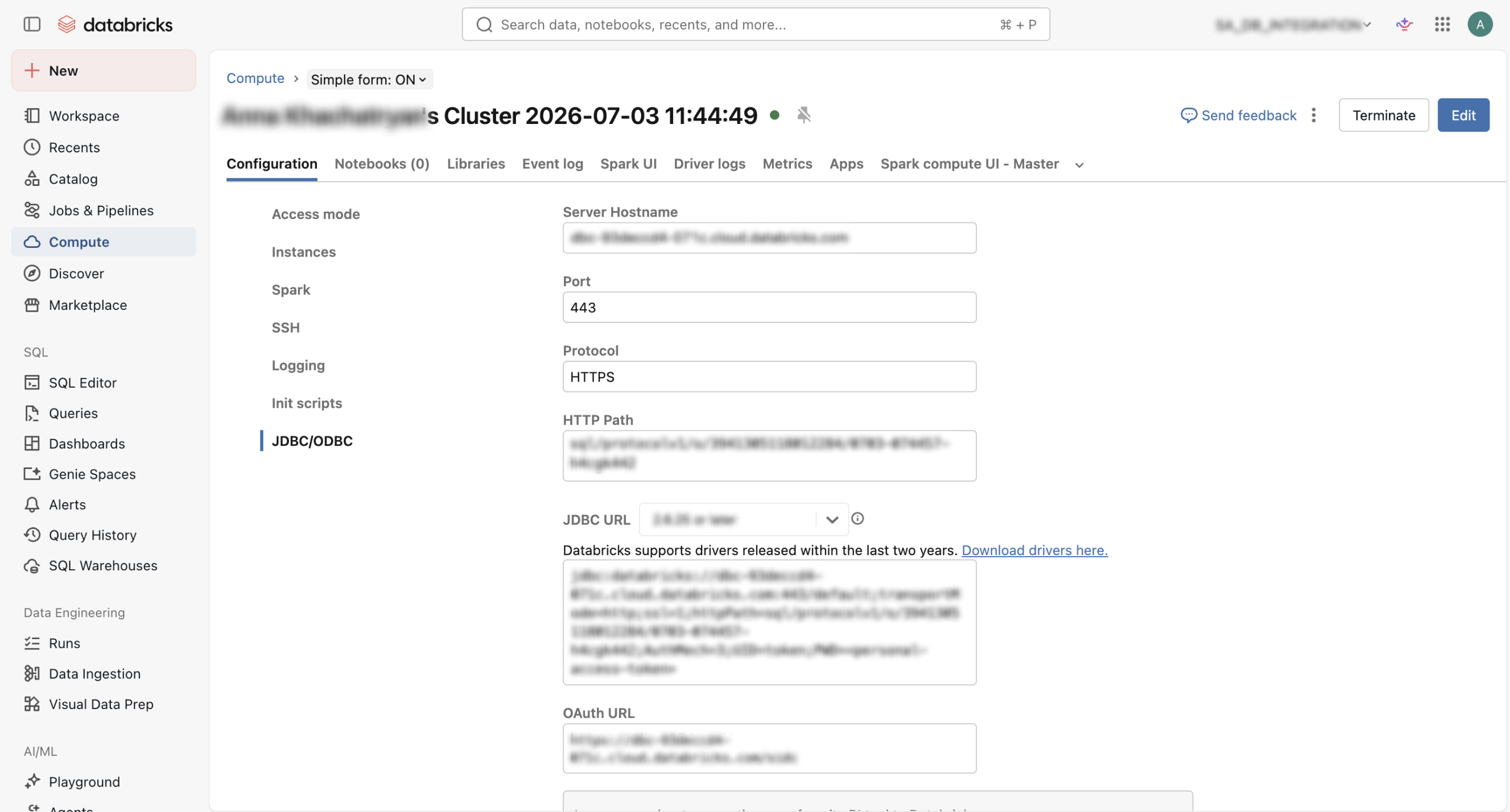 Databricks Cluster
