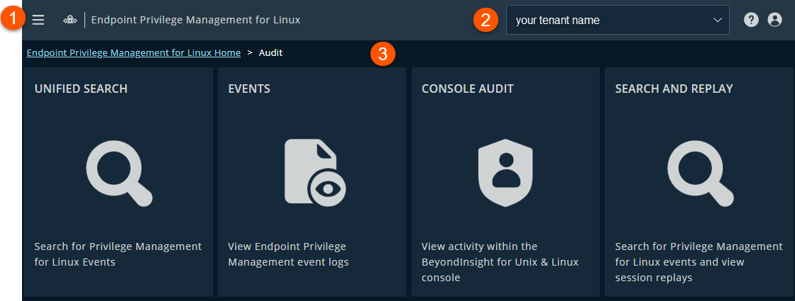 The Audit page in EPM for Linux