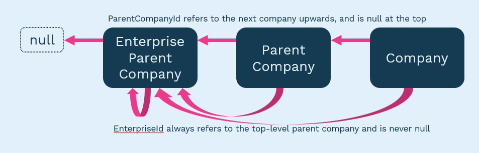 Parent Company Chart