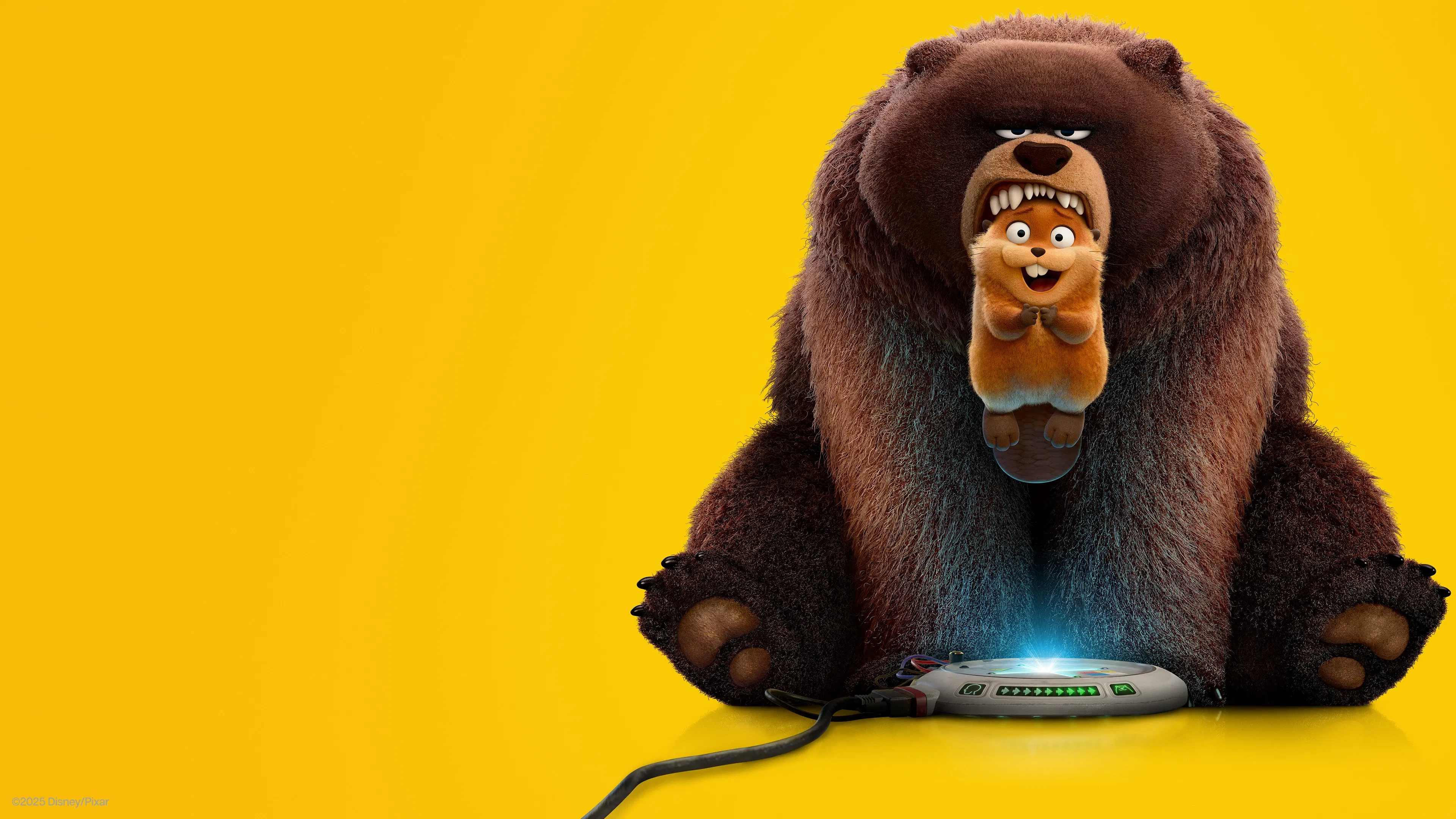 호퍼스 2026 전체 영화 다시;보기 꼬두람이