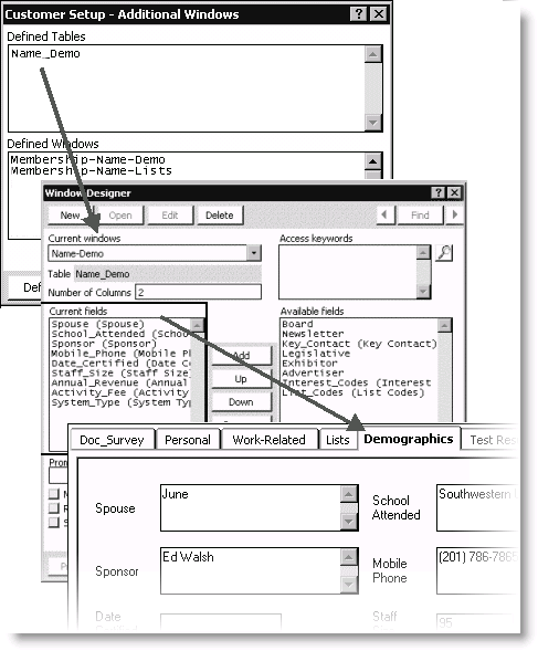 Sample Demographics window tab