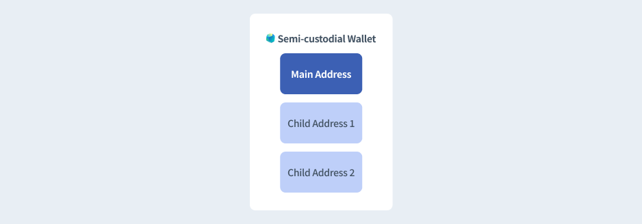 Figure 4: Structure of a Semi-custodial Wallet