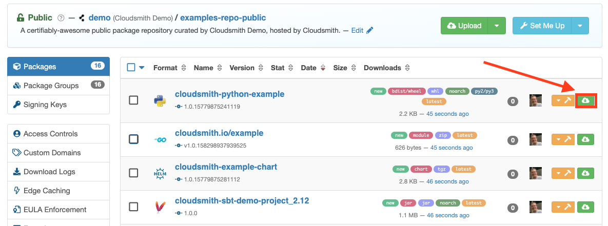 dl-button-public-repo.png Download buttons on packages list (public repository)