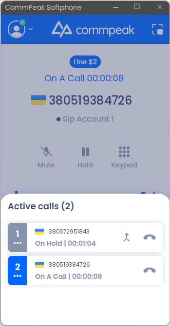 Screenshot of the multi lines: full mode