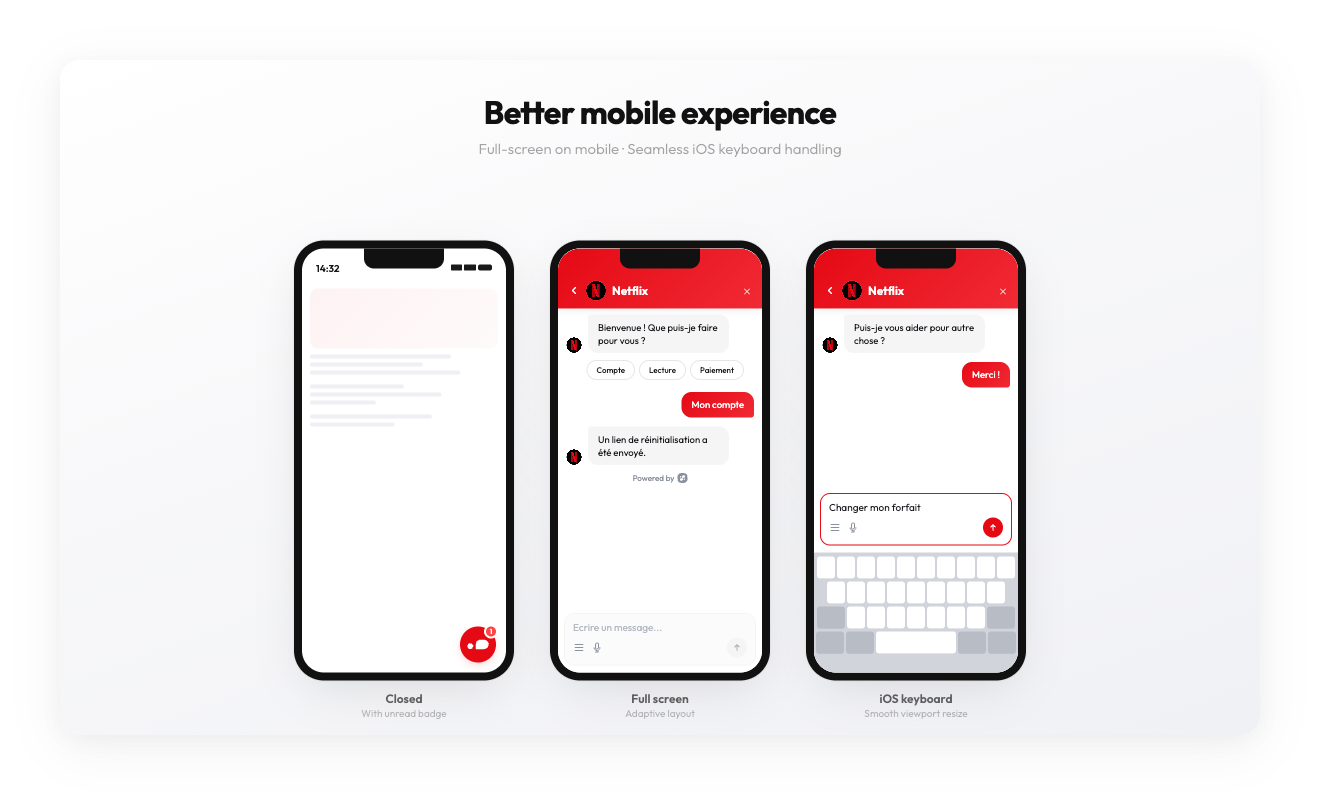 Mobile widget experience