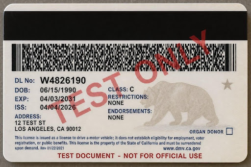 us-drivers-license-back-test.jpg Expected: authentic · Image: back