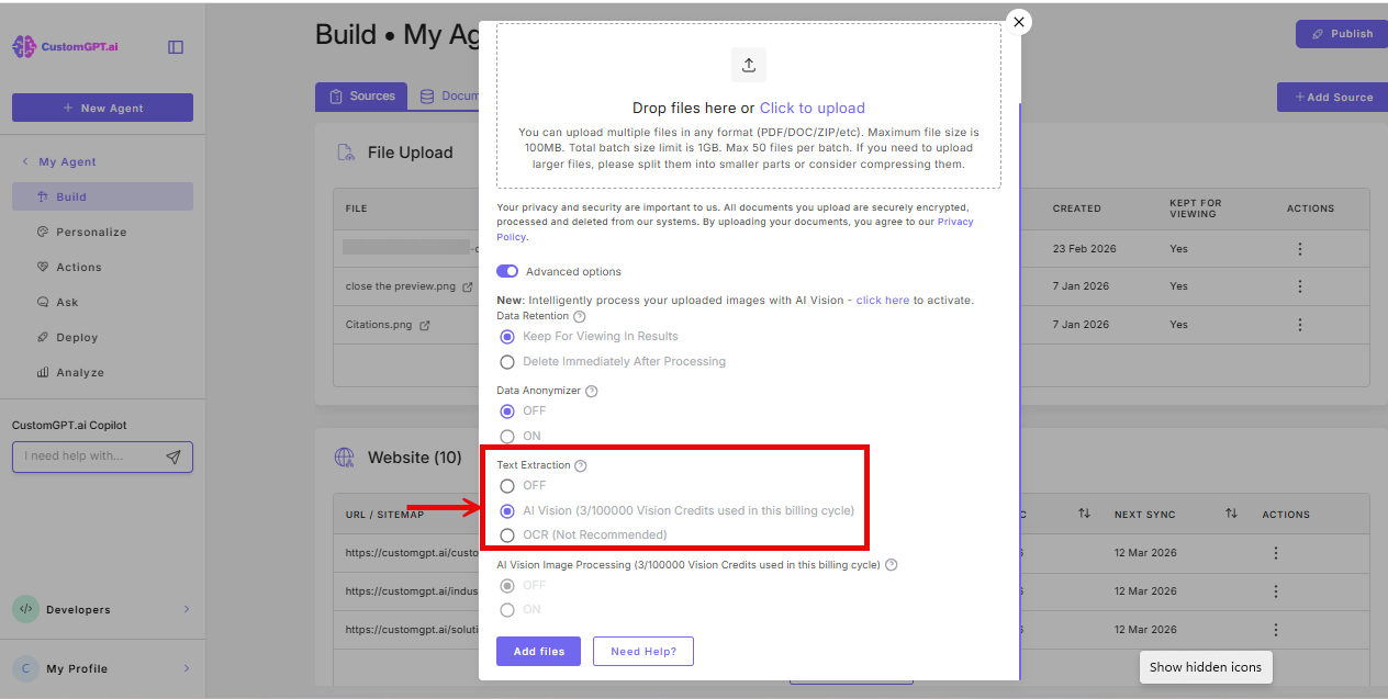 screenshot: AI vision radio button in the Text selection option