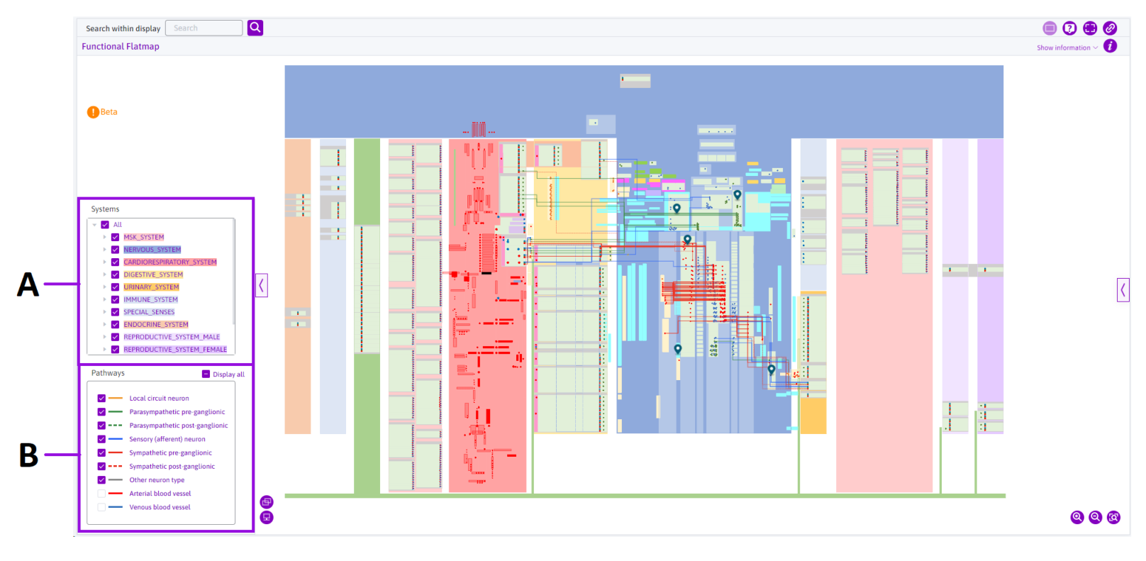 Figure 6: The Functional Connectivity (FC) map interface. By default, all systems are hidden.