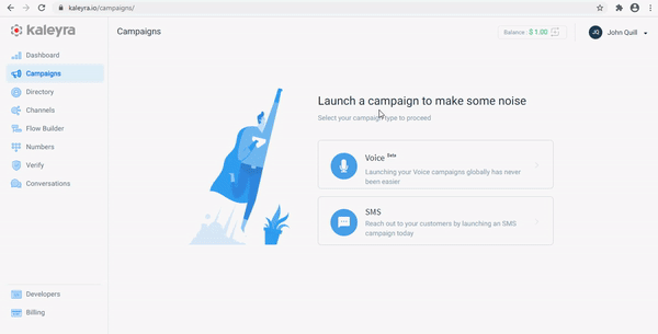 Company Info.gif