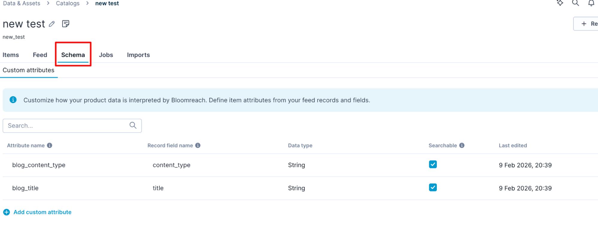 Configure schema and searchable attributes