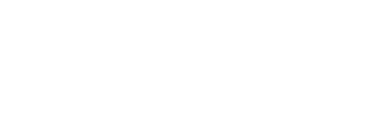 API Alegra Proveedor electrónico