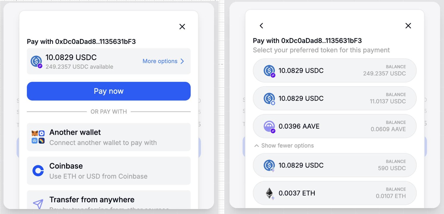 Payer with connected wallet sees all tokens on all chains and can select which token + chain to pay with