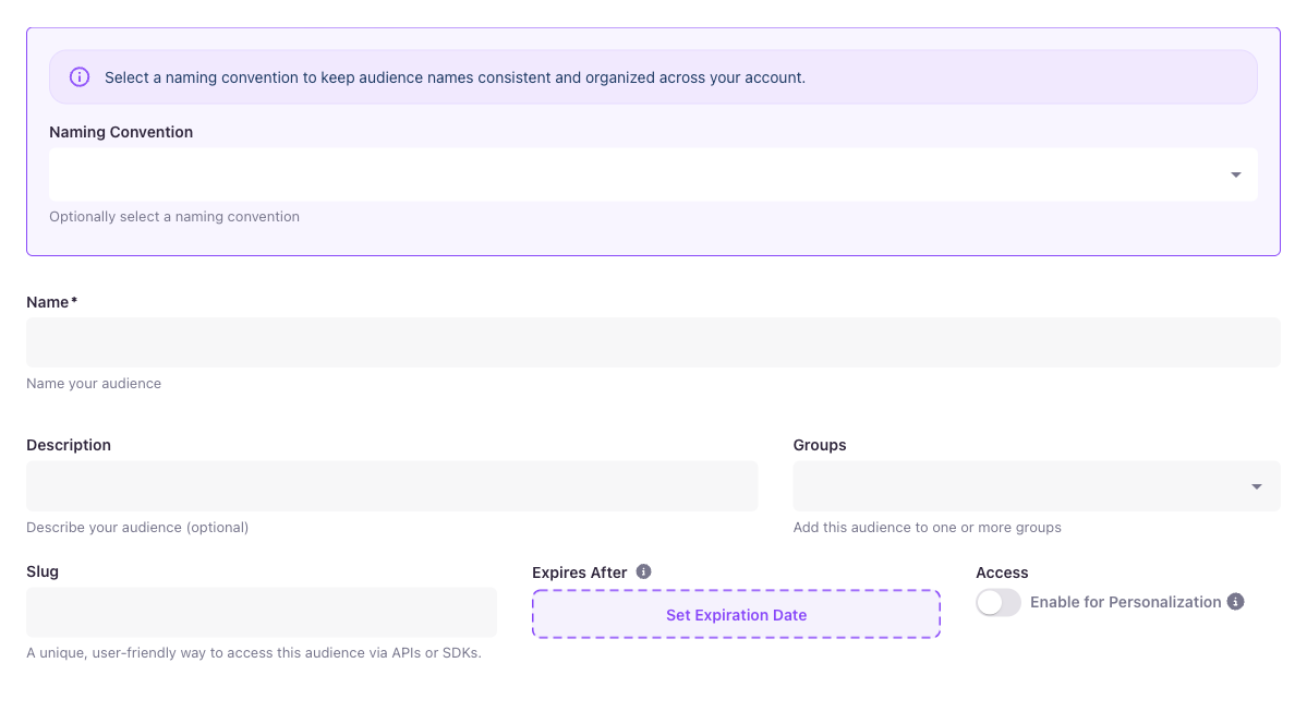 Audience builder with the Naming Convention selector empty — pick a convention to start