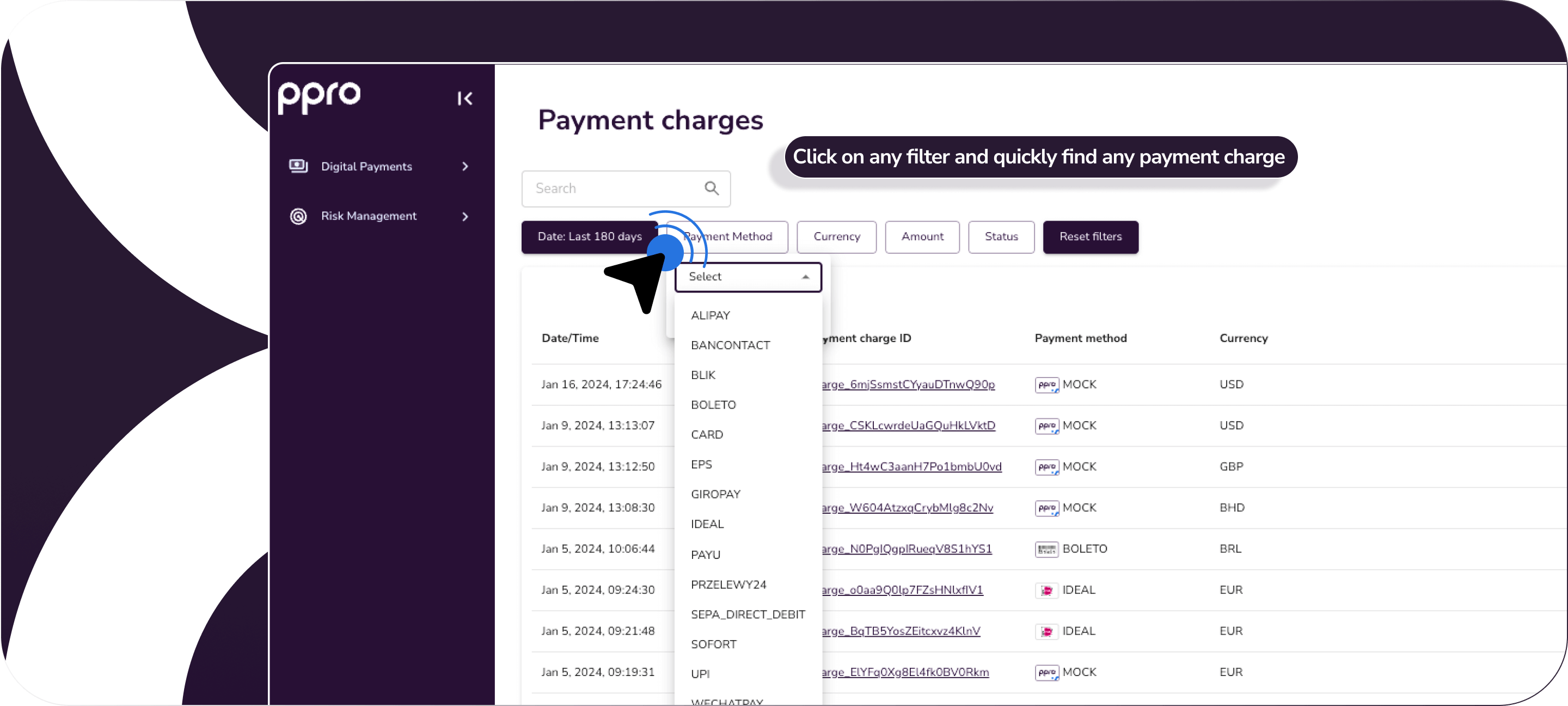 Payment charge filter detail