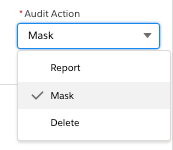 Audit Action.png