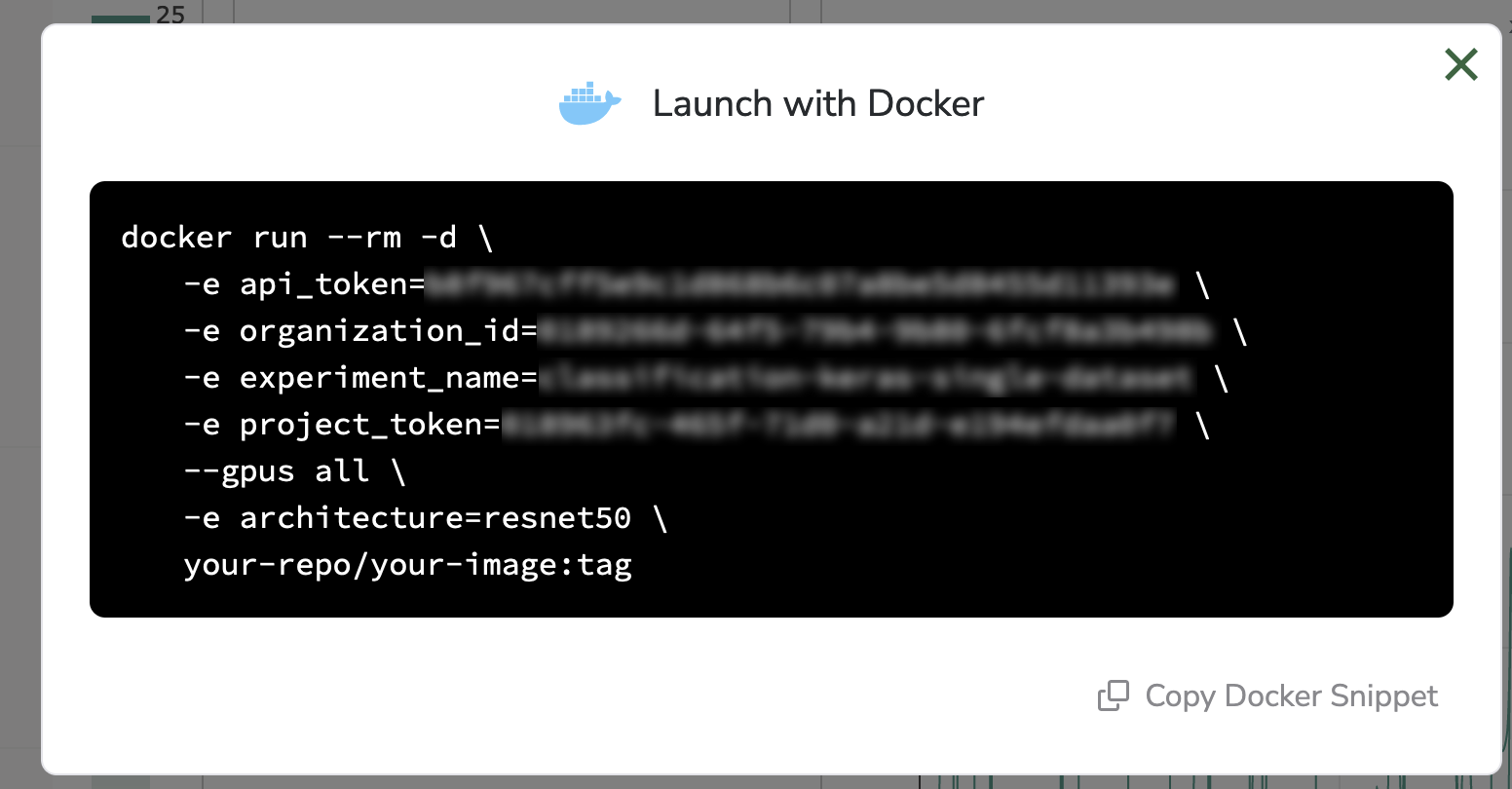 The Docker command to run on your environment