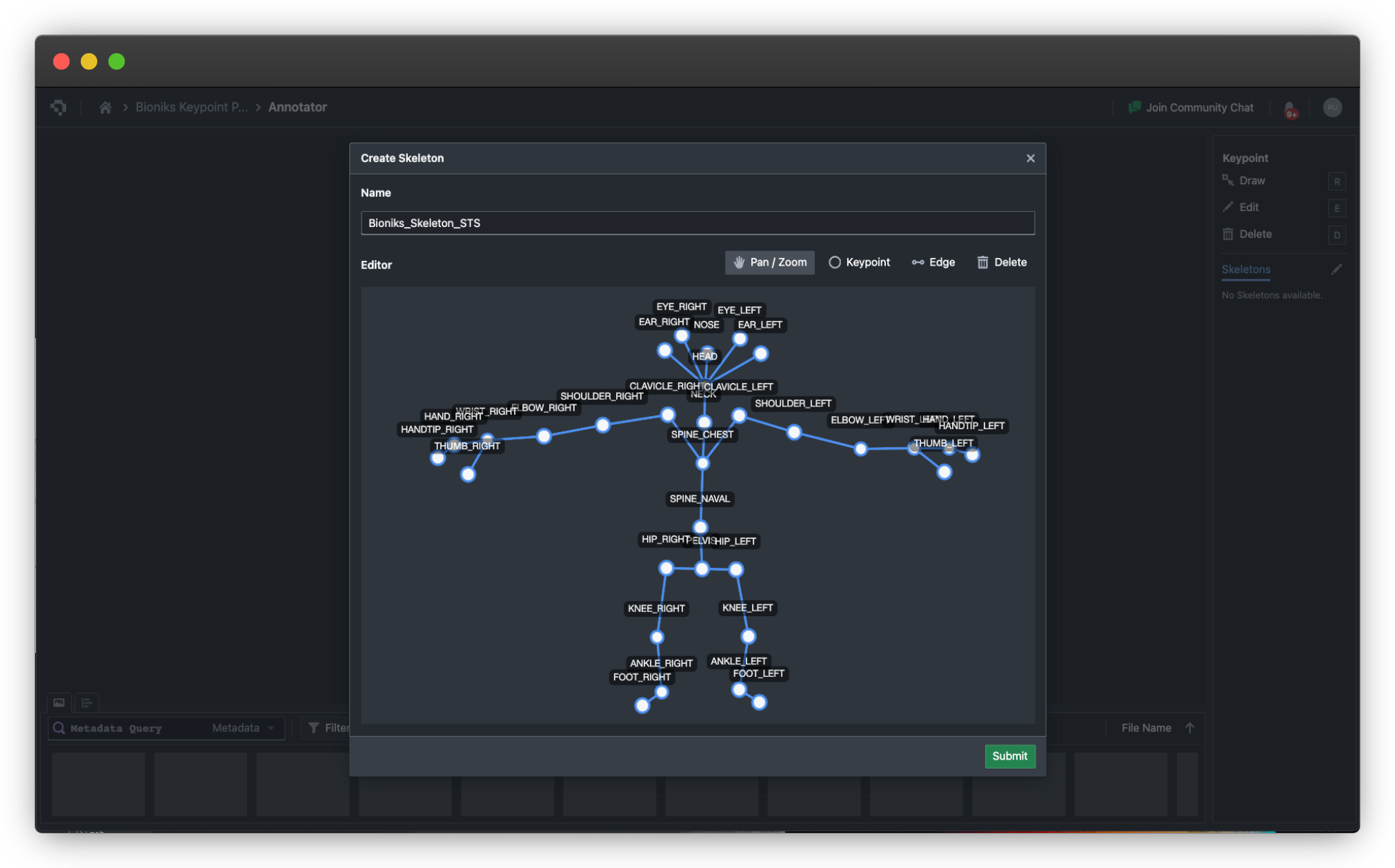 Example skeleton created in the Skeleton Editor (click to enlarge)