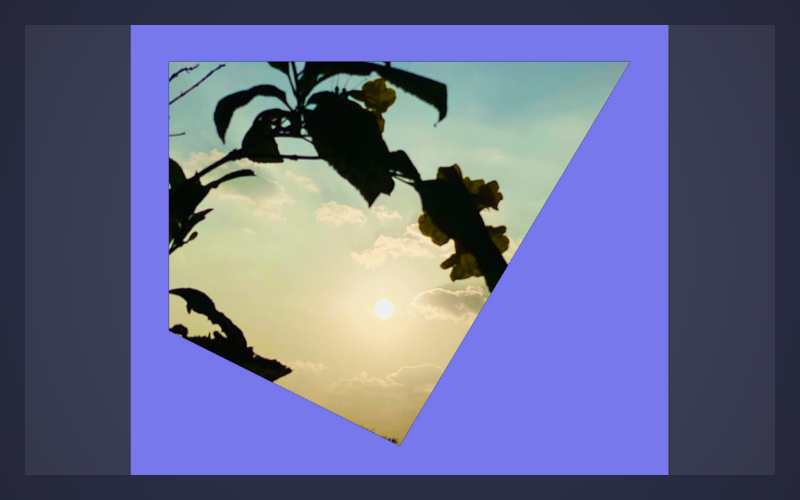 20.png