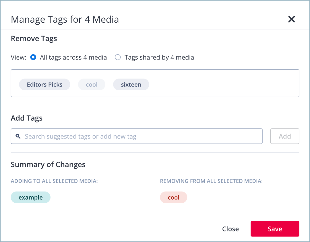 Manage Tags panel