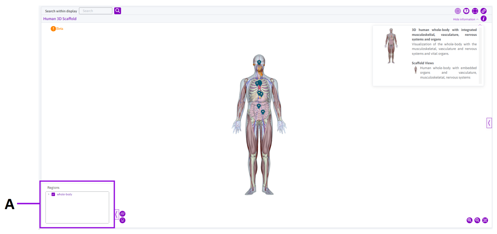 Figure 7: The 3D whole-body map interface.