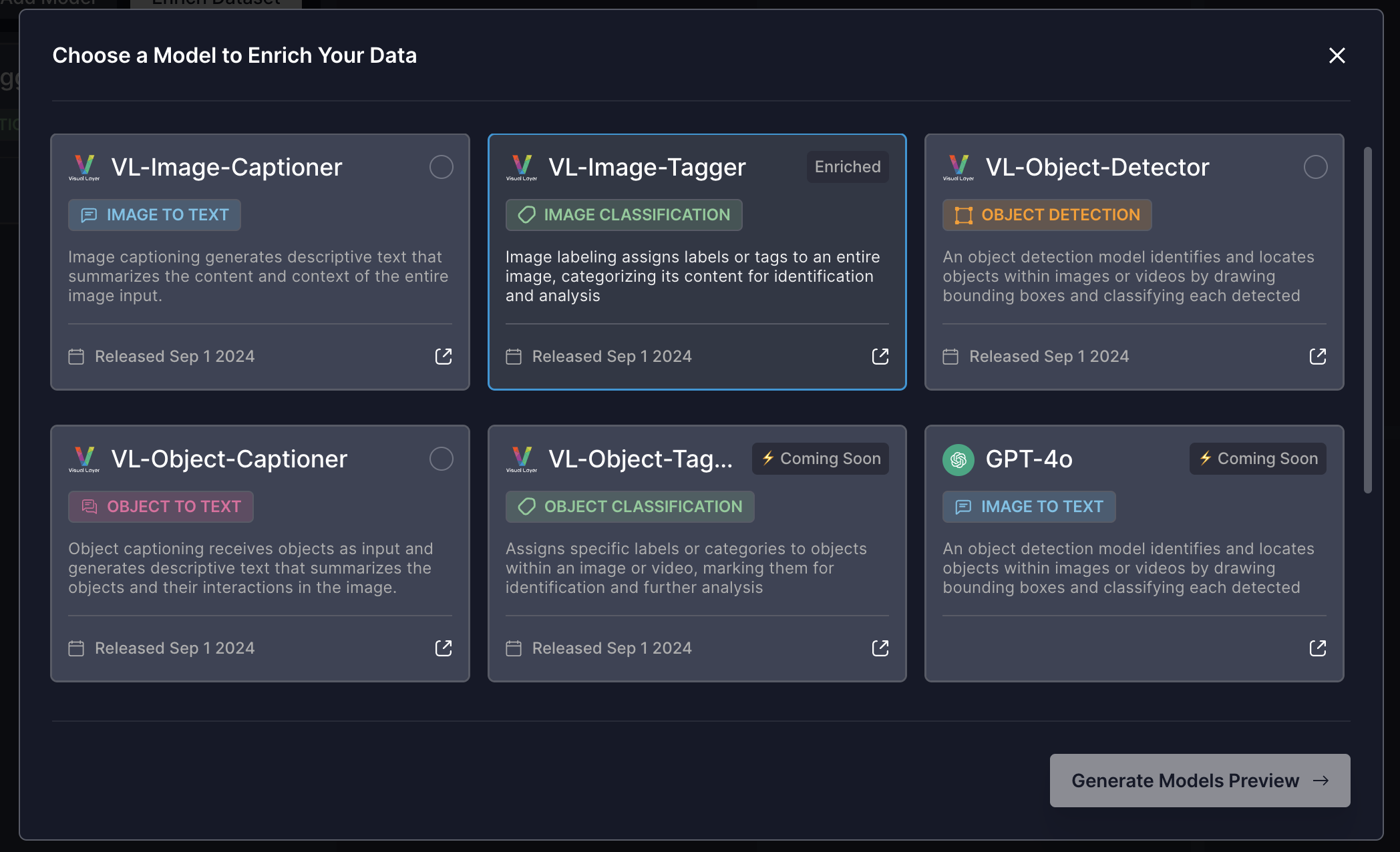 Enrich: example: "VL-Image-Tagger" was already used to enrich dataset.