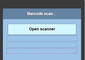 Barcode scanner page.