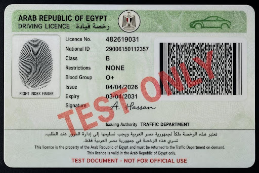 egypt-drivers-license-back-test.jpg Expected: authentic · Image: back