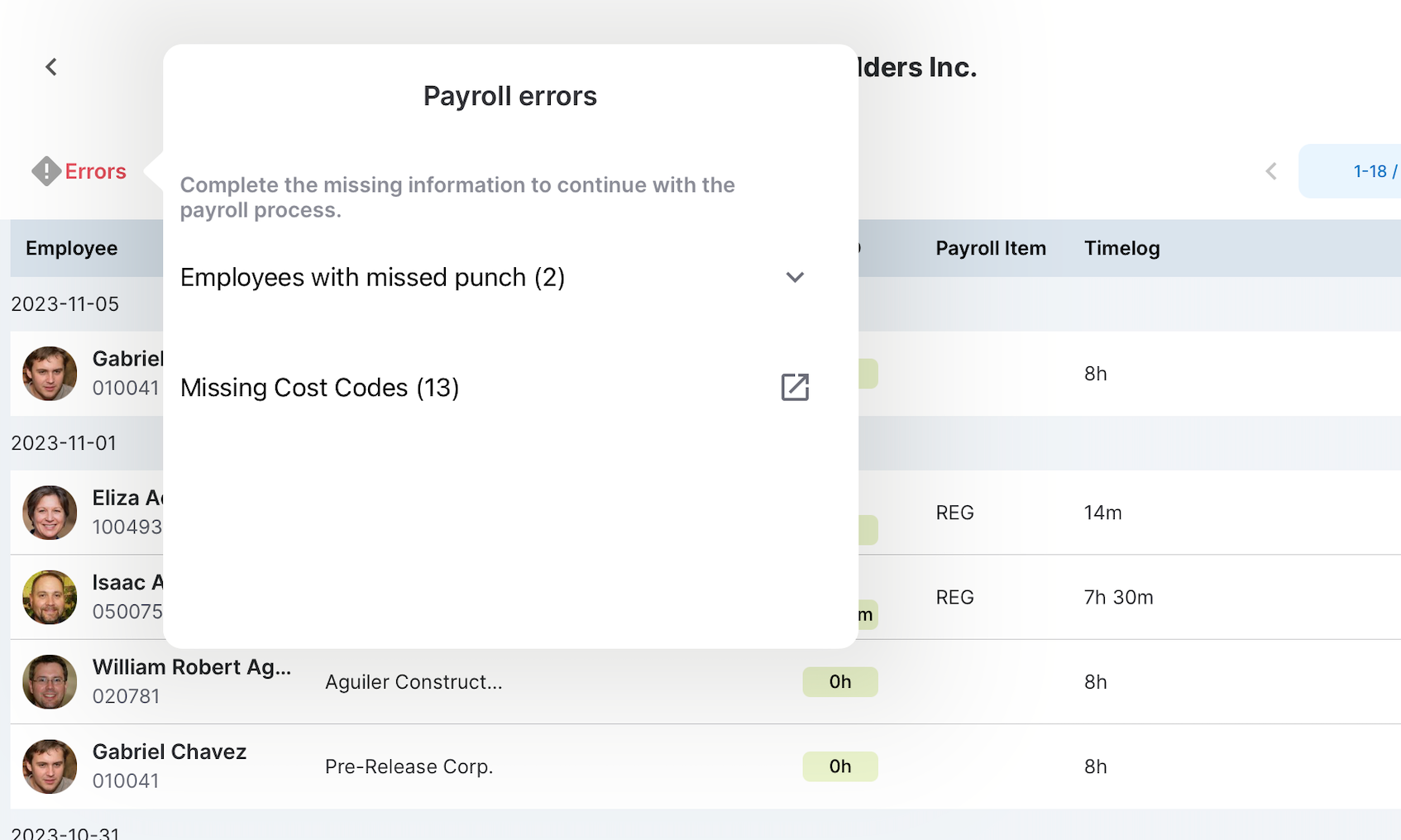 Payroll error details